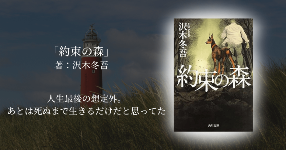 年間250冊読む読書家 れんげの本棚-心に響く小説を紹介します