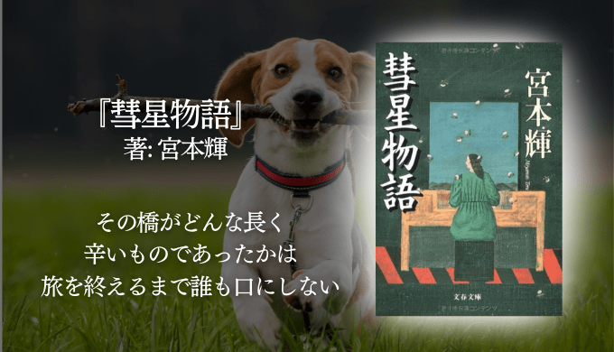 年間250冊読む読書家 れんげの本棚-心に響く小説を紹介します