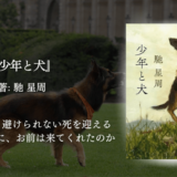 【少年と犬｜泣ける感動小説】辛い今を生きる人の心にそっと寄り添い、悲しみの先にある優しさに心が震える読書体験