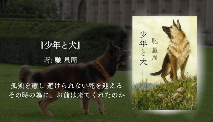 年間250冊読む読書家 れんげの本棚-心に響く小説を紹介します